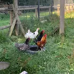 La Grange Des Loges بيت للعطل Boucé