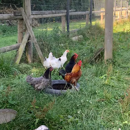 La Grange Des Loges 別荘 Boucé