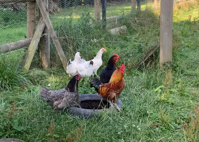 La Grange Des Loges Hébergement de vacances Boucé